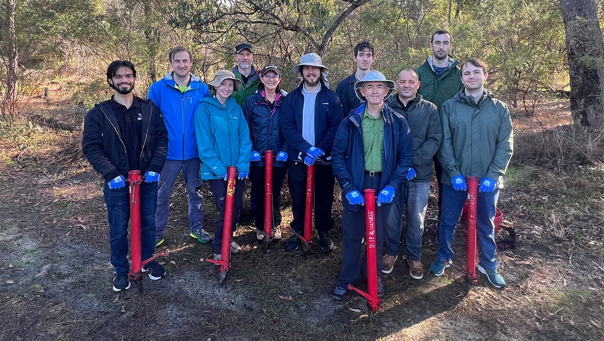 company group planting trees